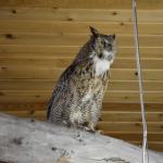 OTRA2013_1961 (July 21, 2013)